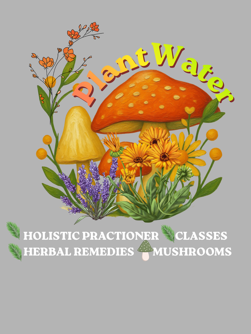 Workshops and classes