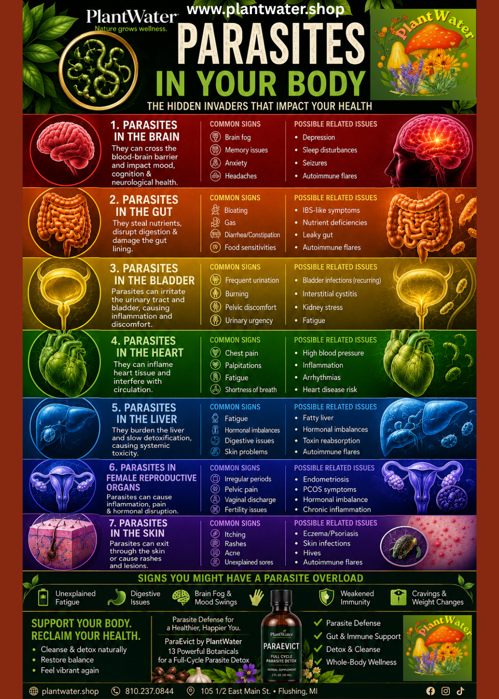 PARA EVICT Promotes healthy internal environments naturally - FULL CYCLE parasite