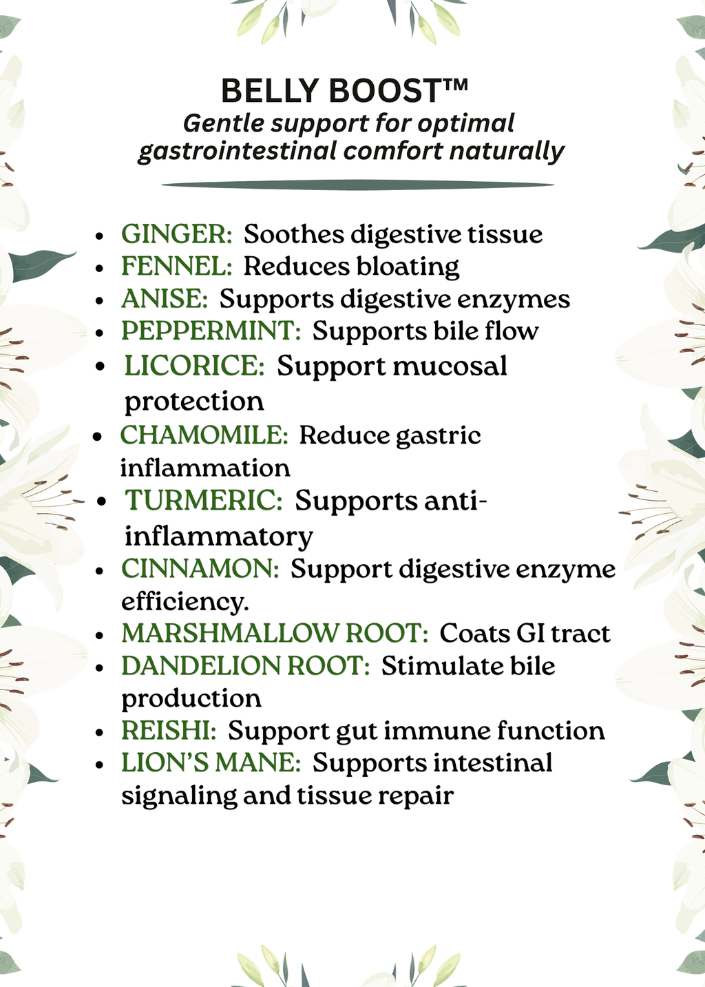 BELLY BOOST Supports overall gut digestive health and nutrient absorption naturally.