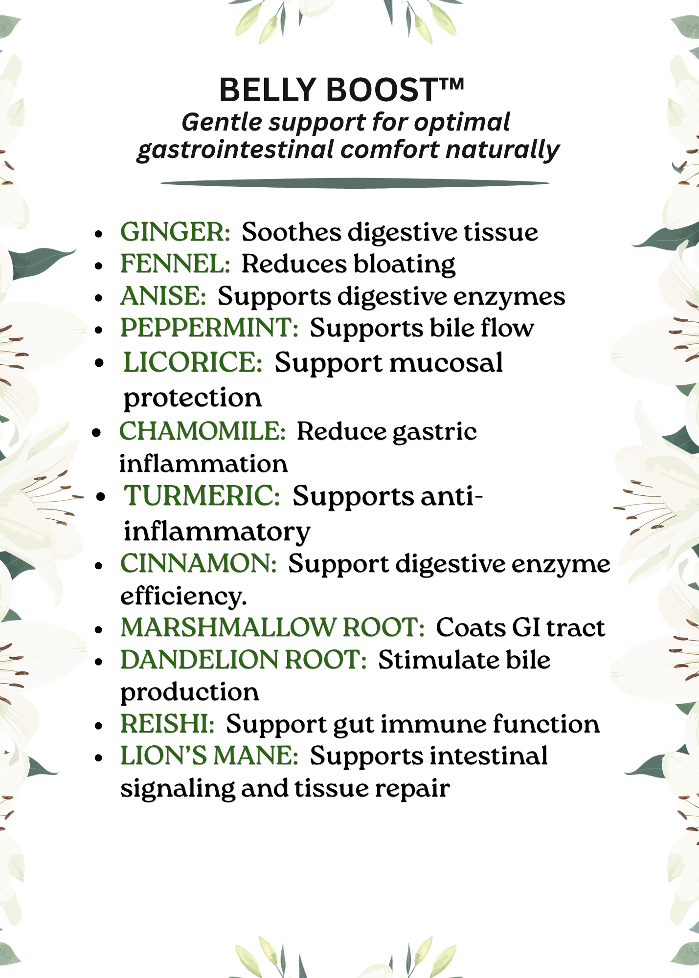 BELLY BOOST Supports overall gut digestive health and nutrient absorption naturally.