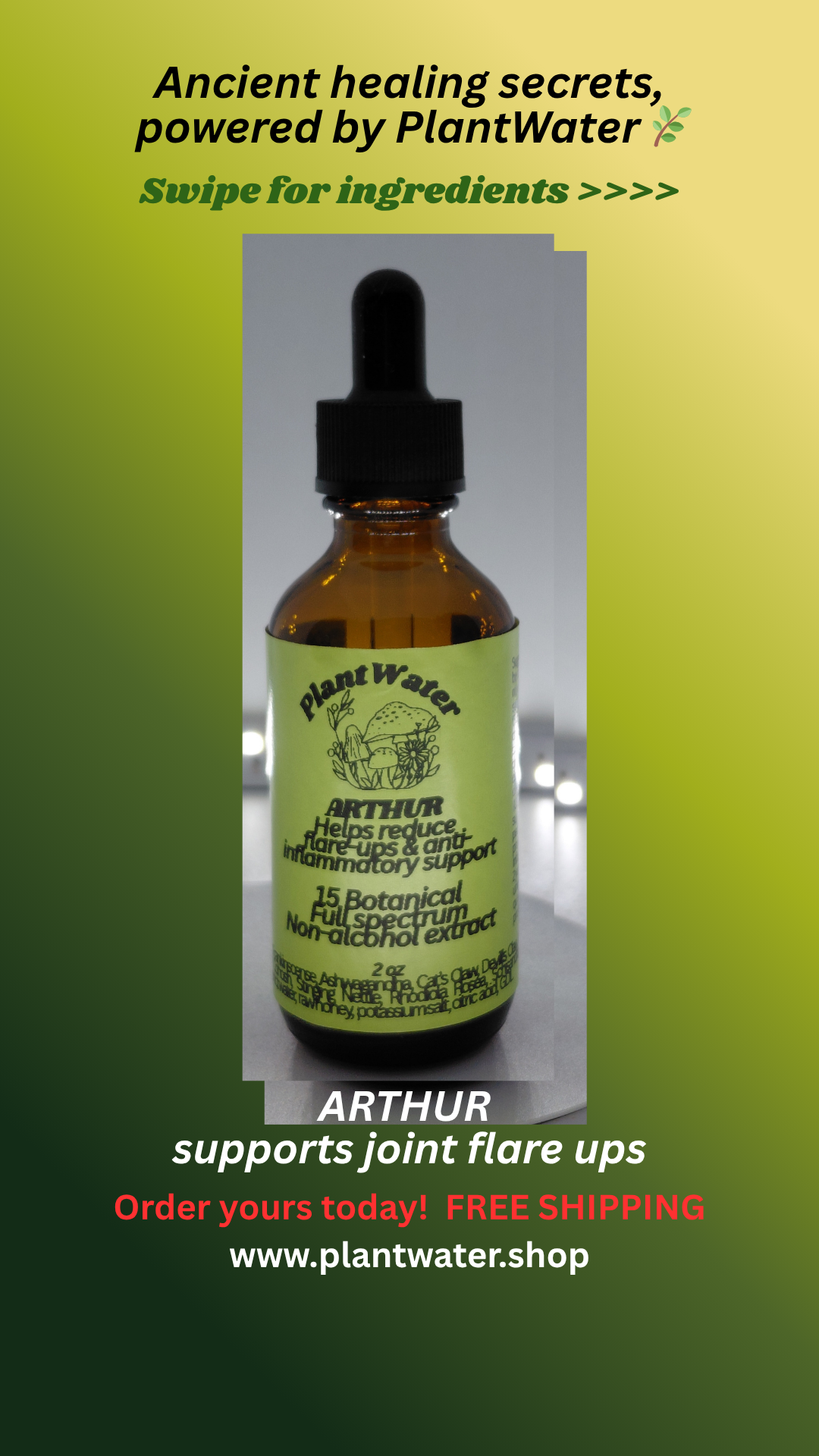 ARTHUR Natural support for arthritis joint wellness and inflammation