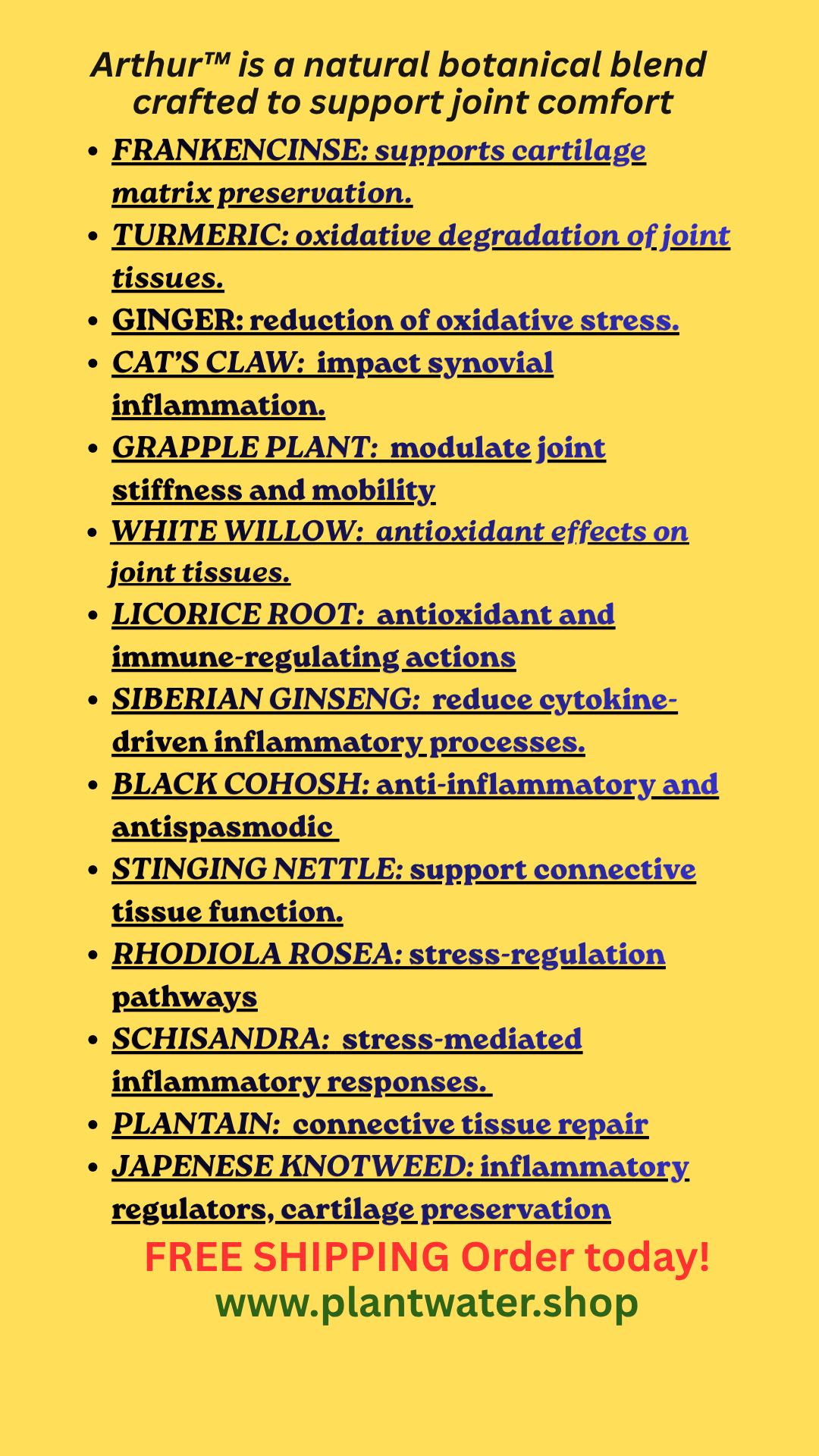 Move Freely Again: Natural Relief & Support for Arthritis