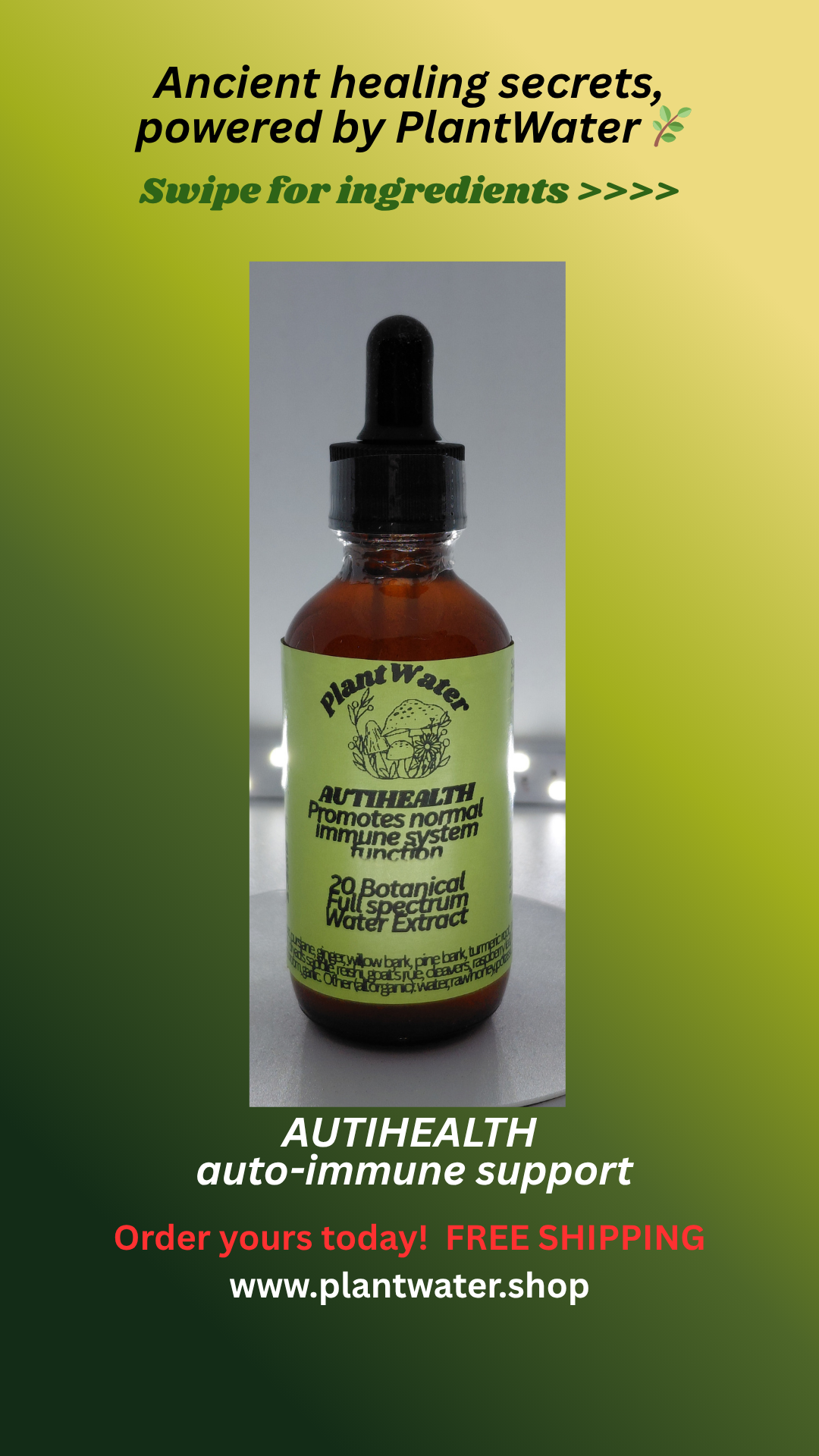 AUTIHEALTH Promotes normal immune system function natural support to help autoimmune
