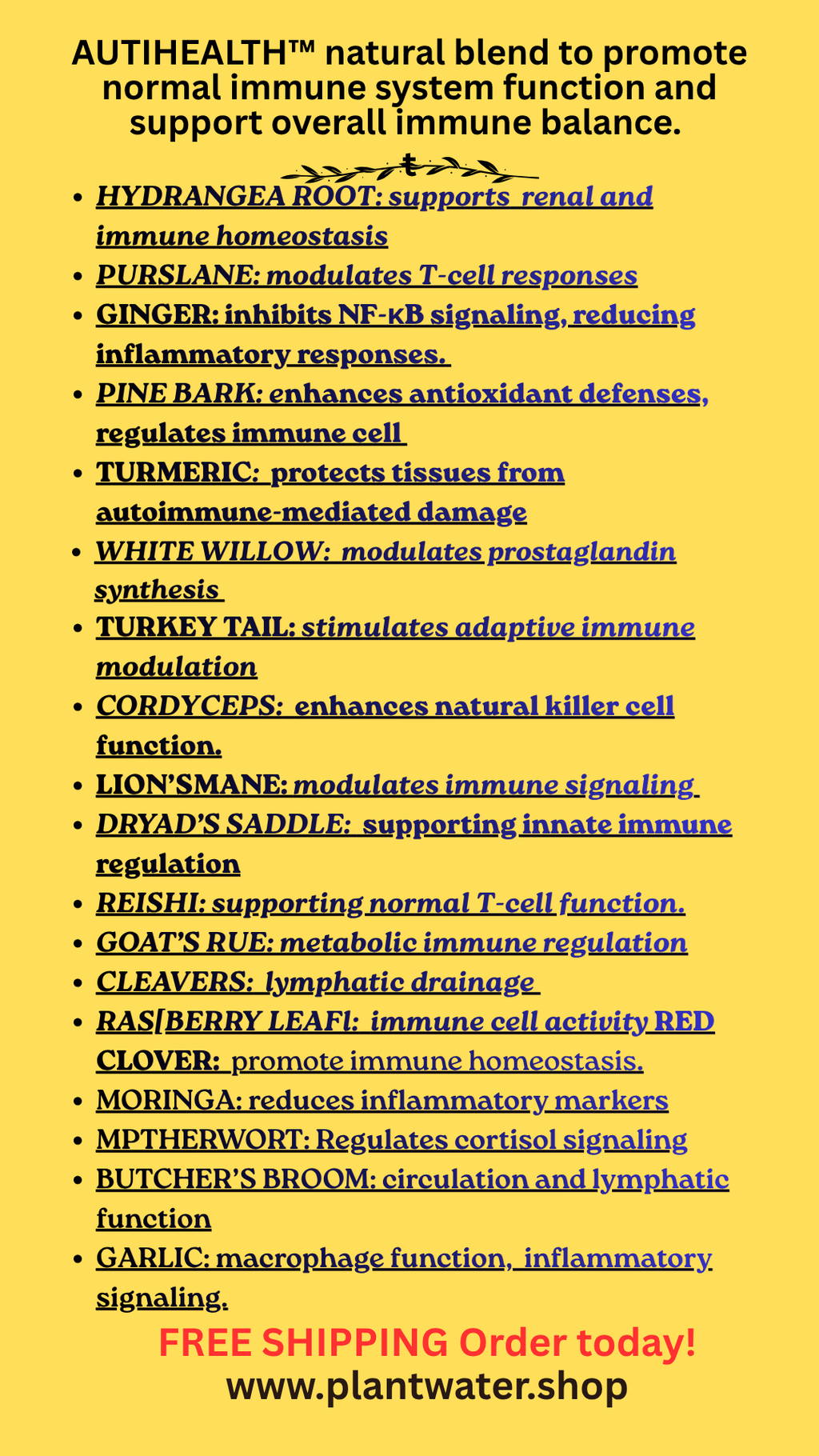 Heal from Within: Natural Solutions for Autoimmune