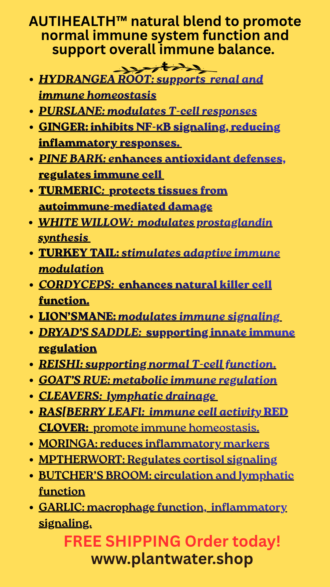 Heal from Within: Natural Solutions for Autoimmune