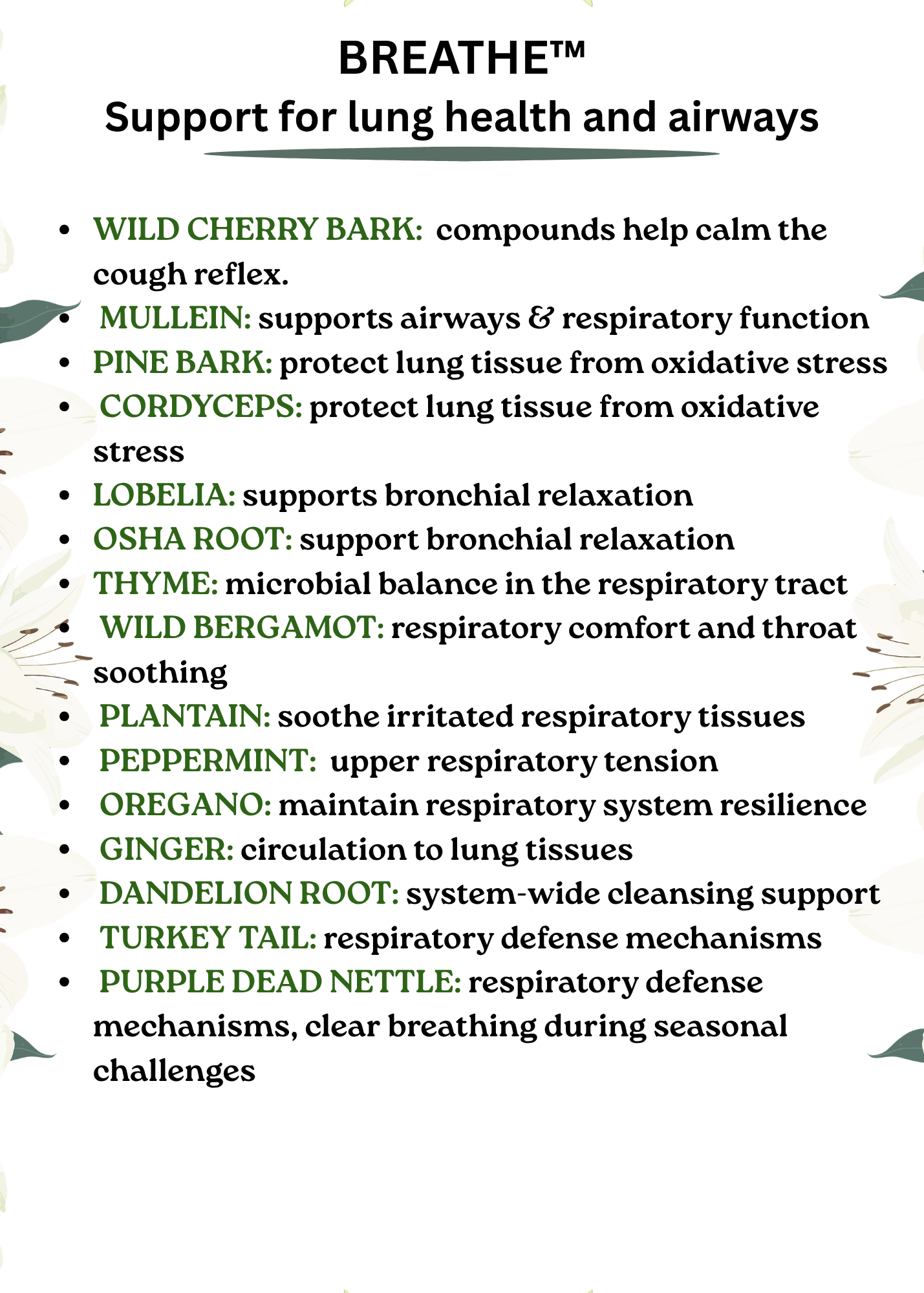 BREATHE Encourages overall respiratory wellness naturally.