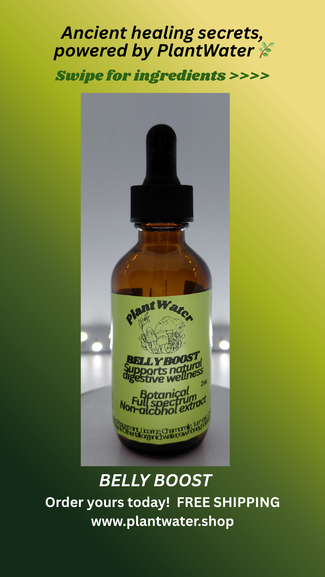 BELLY BOOST Supports overall gut digestive health and nutrient absorption naturally.