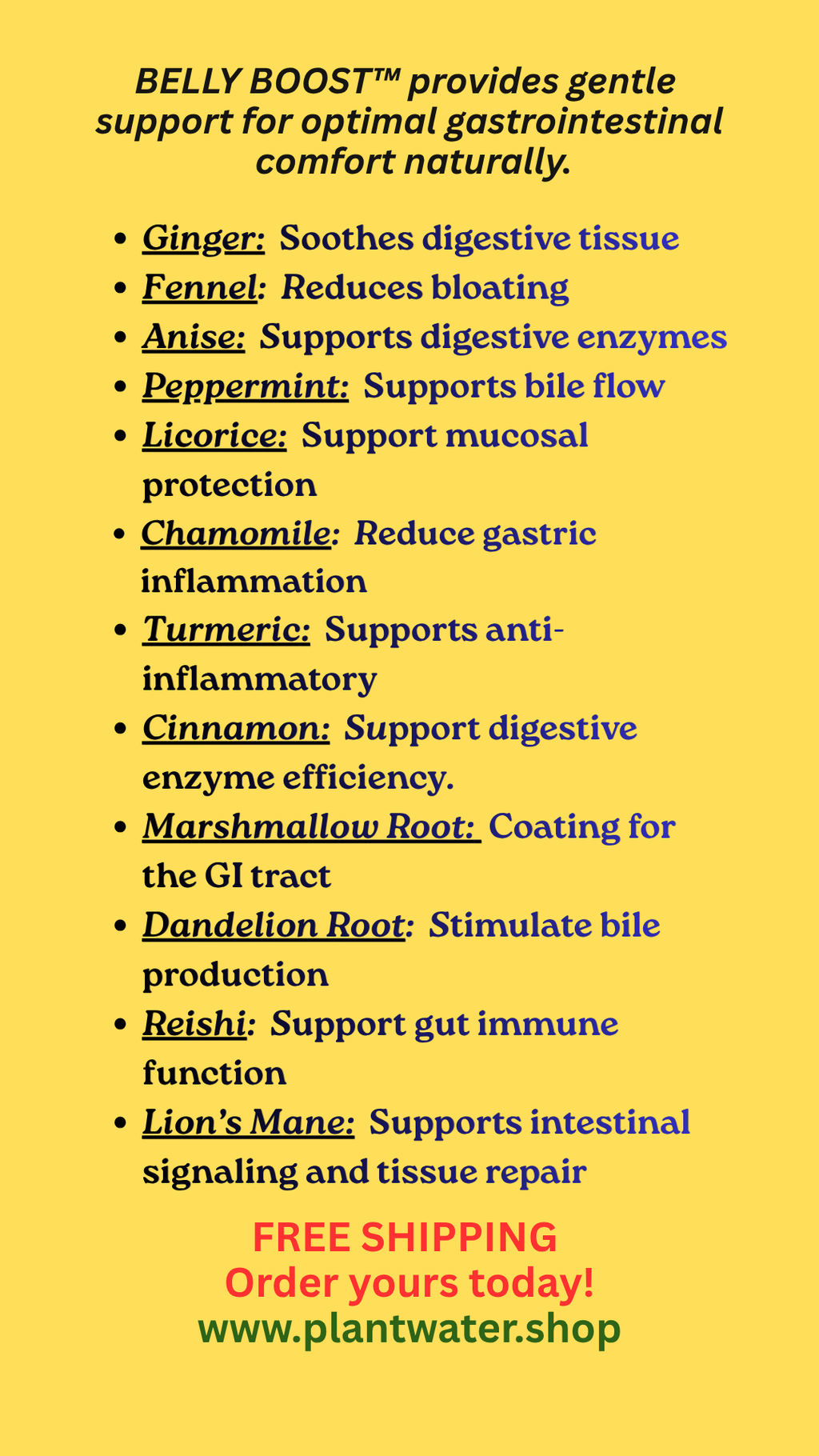 BELLY BOOST Supports overall gut digestive health and nutrient absorption naturally.