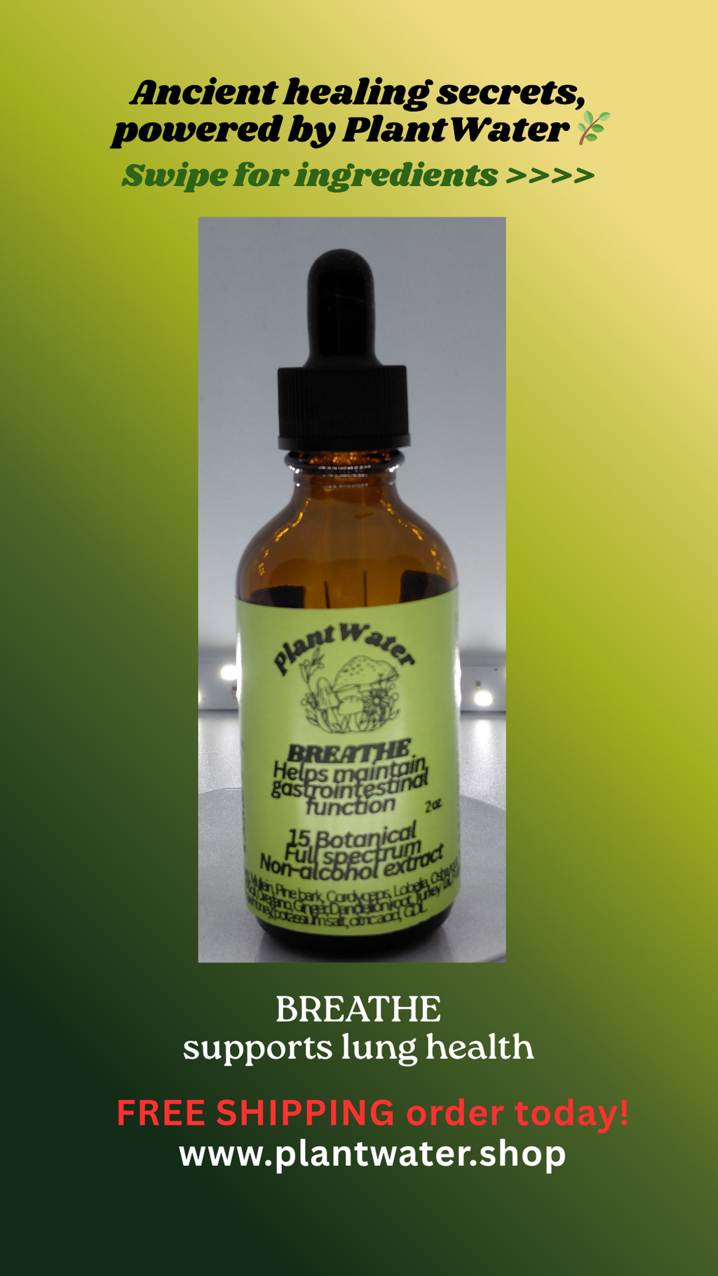 BREATHE Encourages overall respiratory wellness naturally.