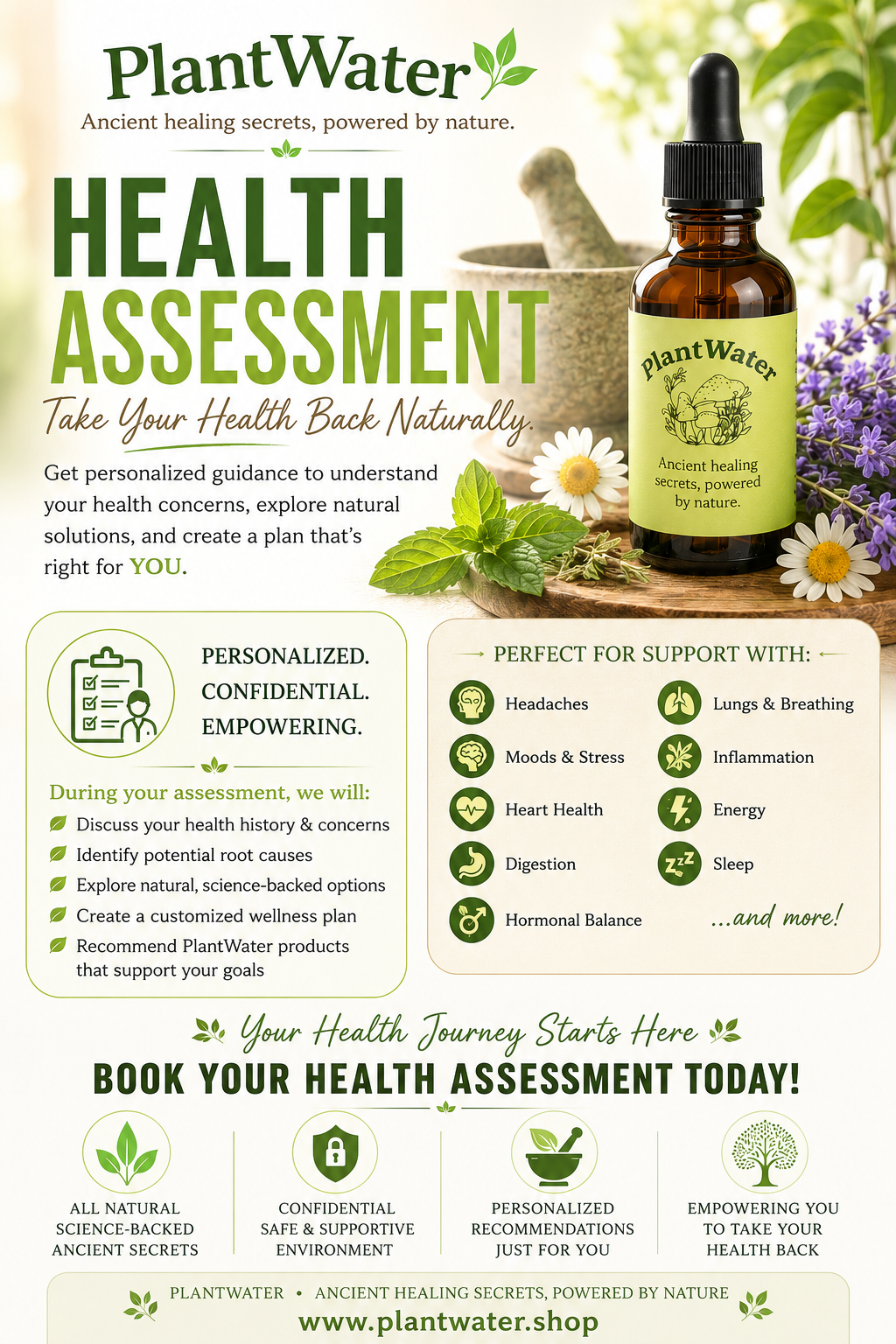Natural Health Assessment, Herbal Consultation & Wellness Planning | PlantWater