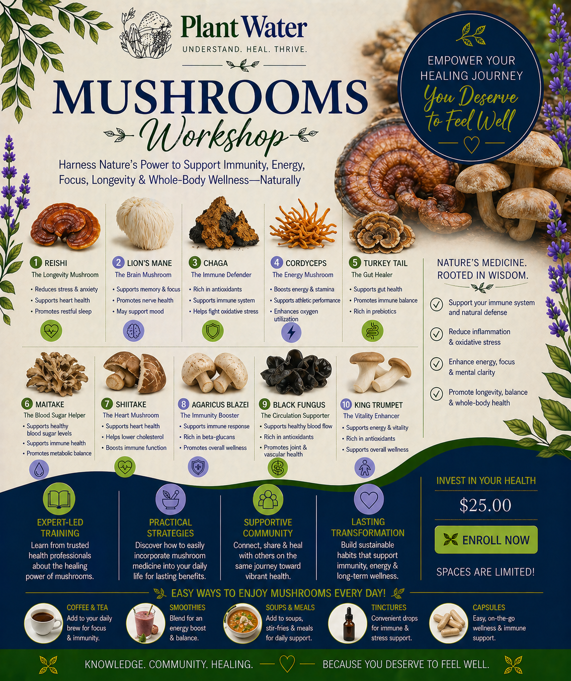 Power of Mushrooms: Natural Support for Healing, Energy & Immunity