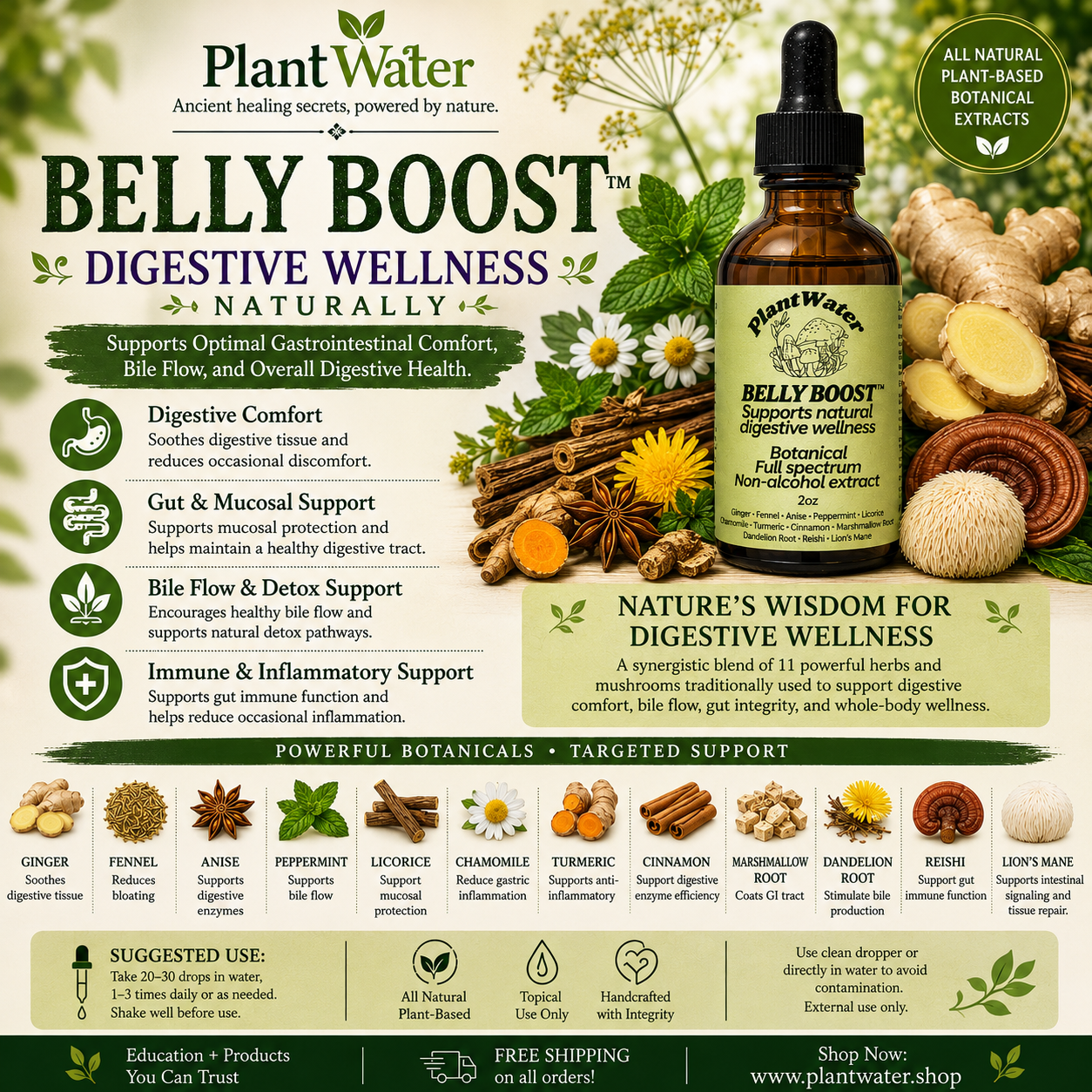 BELLY BOOST Supports overall gut digestive health and nutrient absorption naturally.
