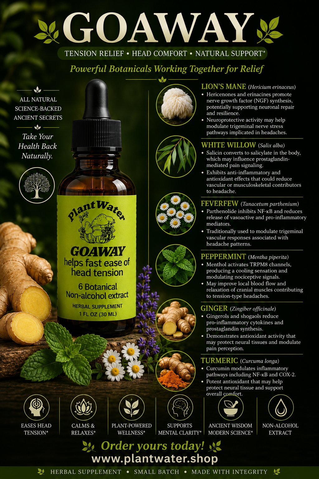 GOAWAY Natural support for head tension, severe headaches, fast acting!