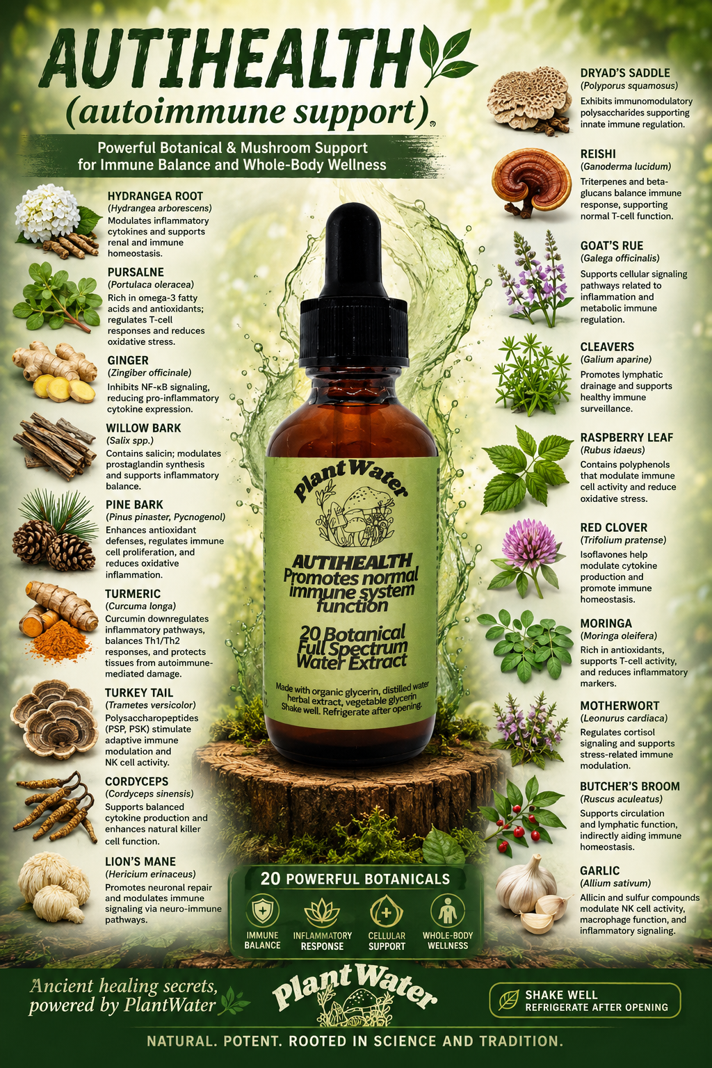 AUTIHEALTH Promotes normal immune system function natural support to help autoimmune
