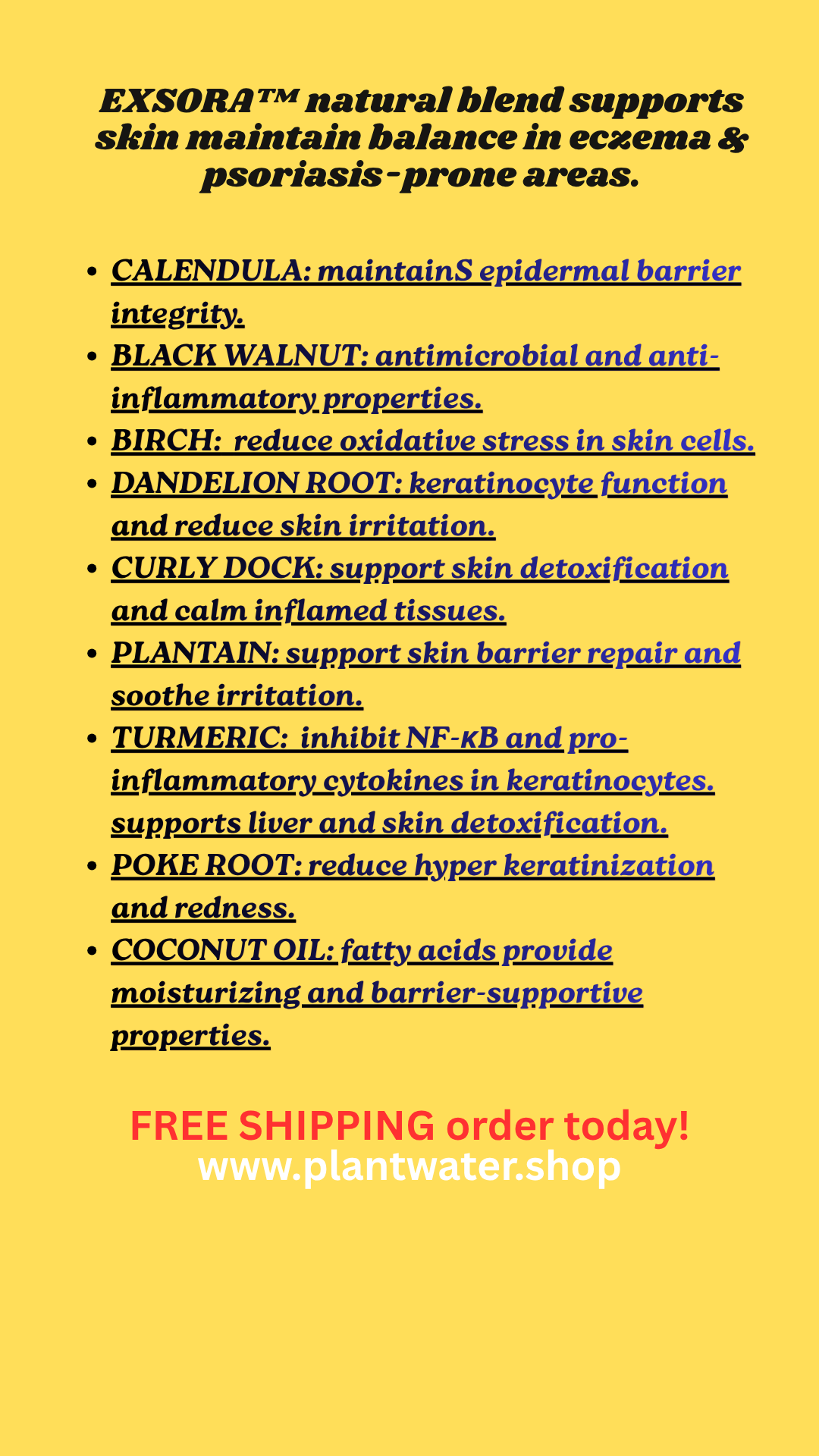 Skin from Within: Natural Support for Psoriasis, Eczema & Chronic Skin Relief