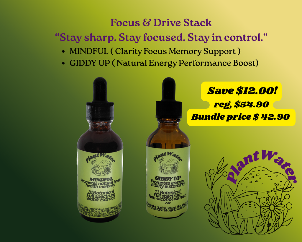 Focus & Drive Stack | Stay sharp. Stay focused. Stay in control. Naturally.