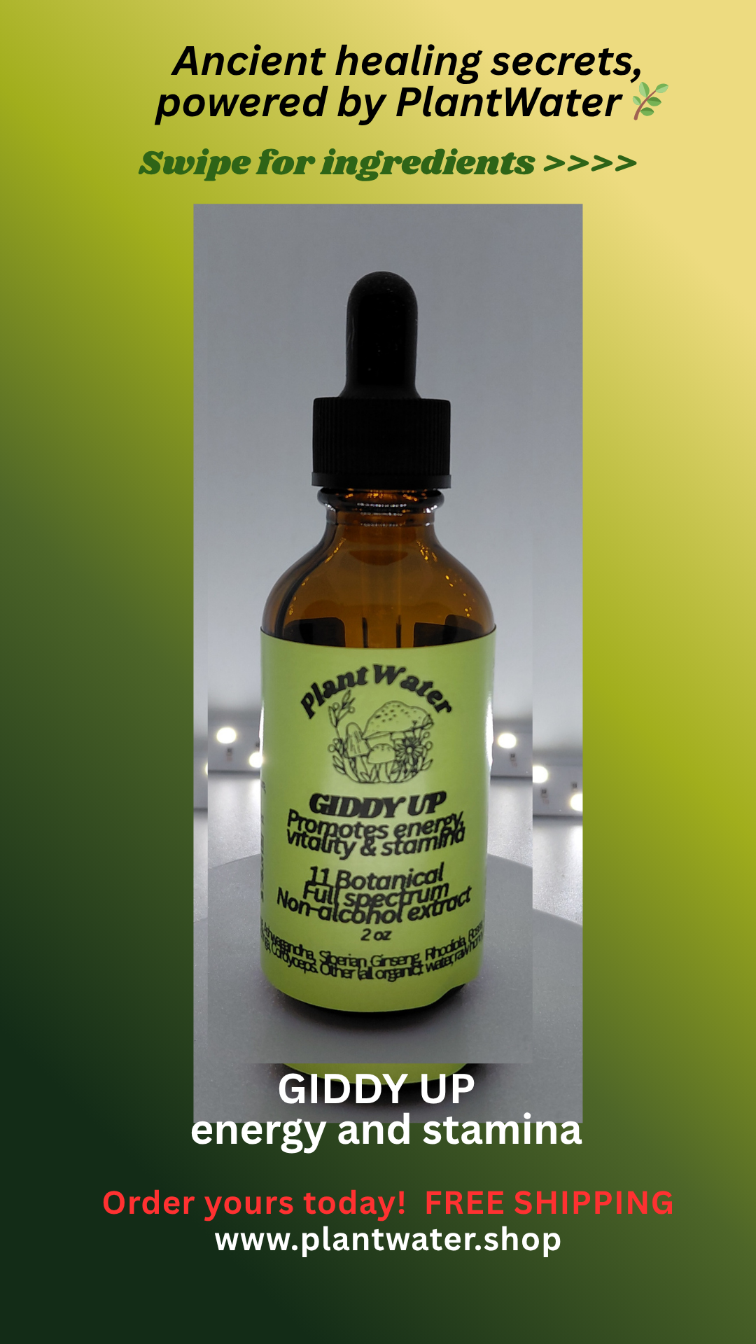 GIDDY UP Natural support for energy and stamina.
