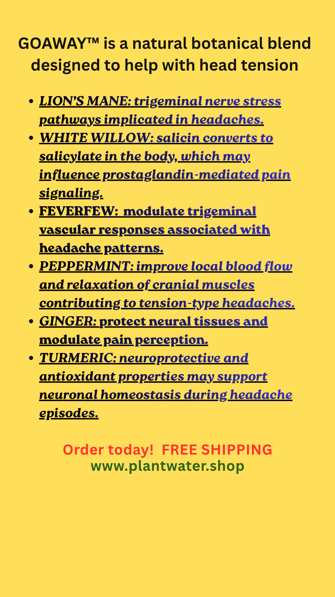 GOAWAY Natural support for head tension, severe headaches, fast acting!