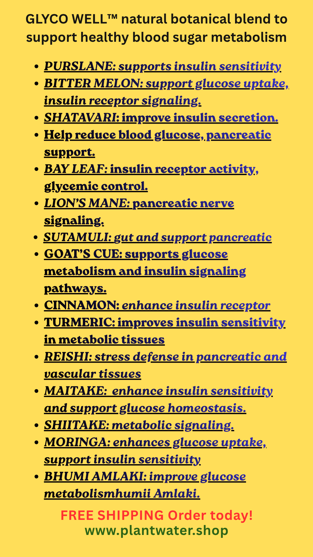 GLYCO WELL Supports healthy blood sugar metabolism naturally.