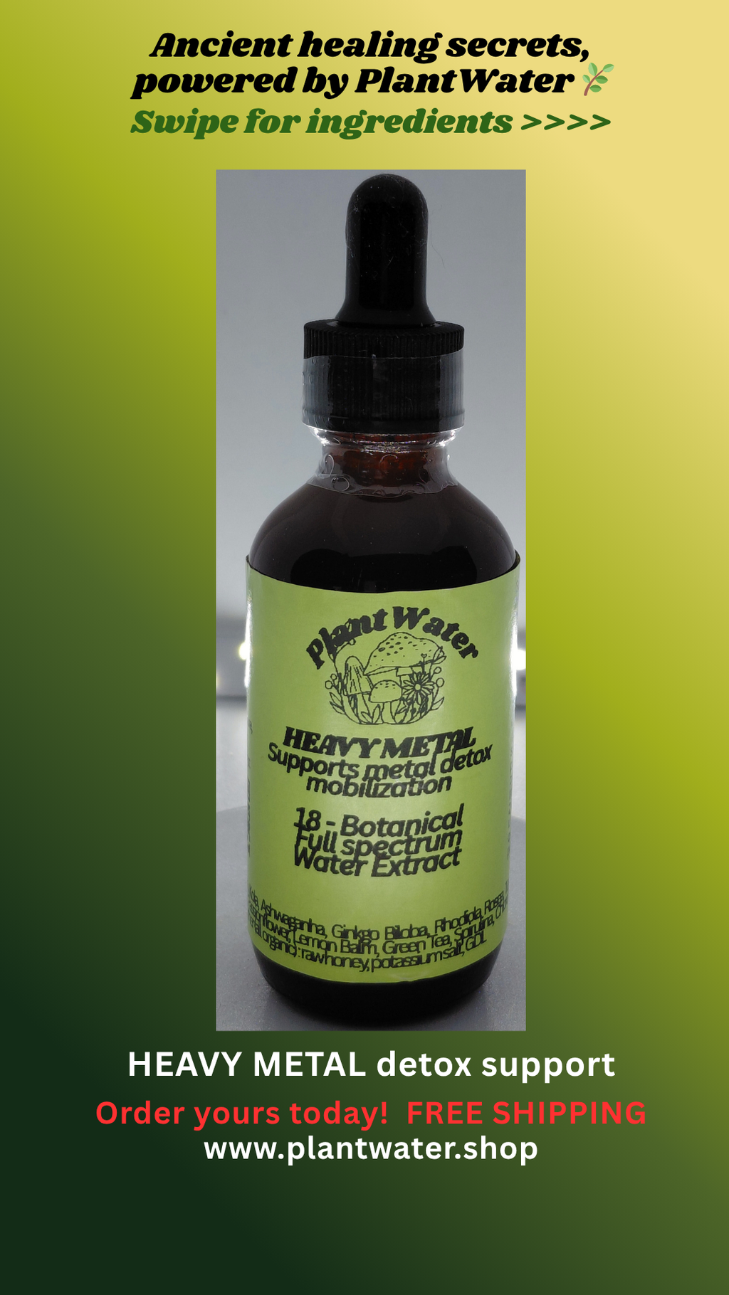 Heavy Metal Defense against everyday environmental exposures naturally.
