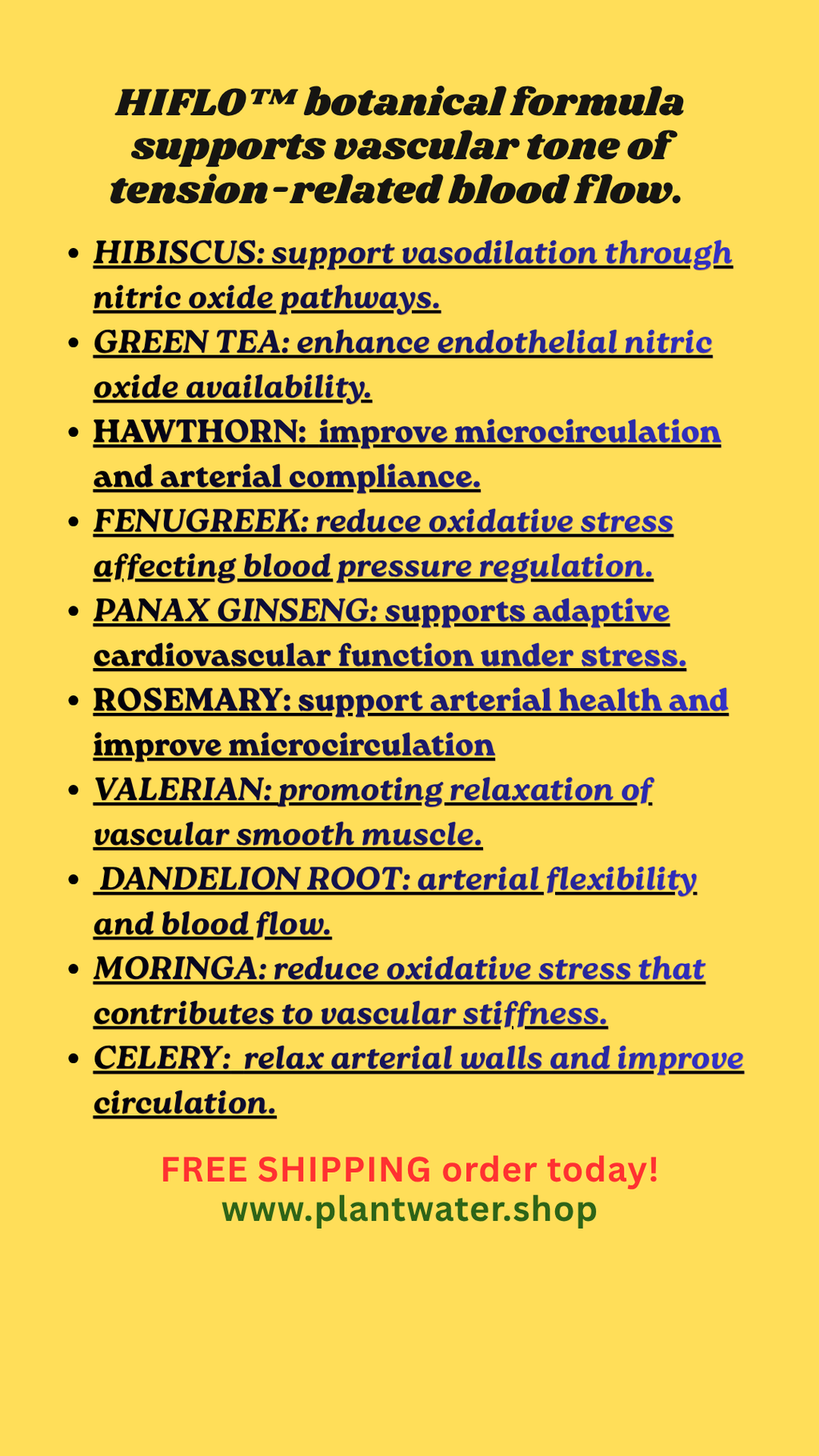 Pressure Off: Natural Ways to Support Healthy Blood Pressure & Feel Your Best