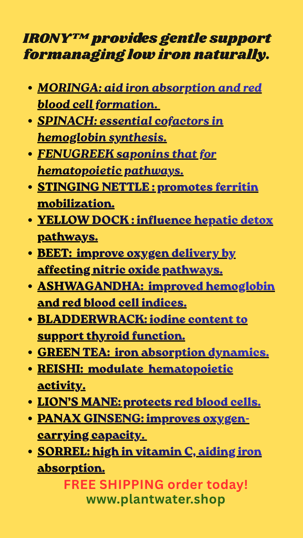 Natural Support for Anemia: Restore Your Energy