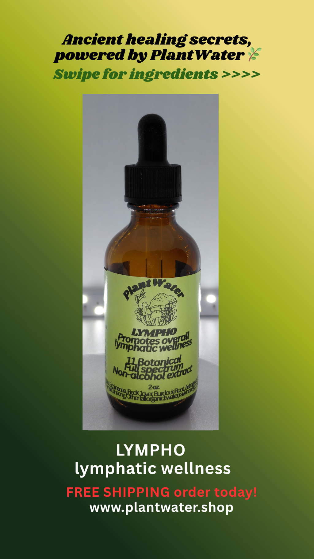Flow & Detox: Natural Support for a Healthy Lymphatic System