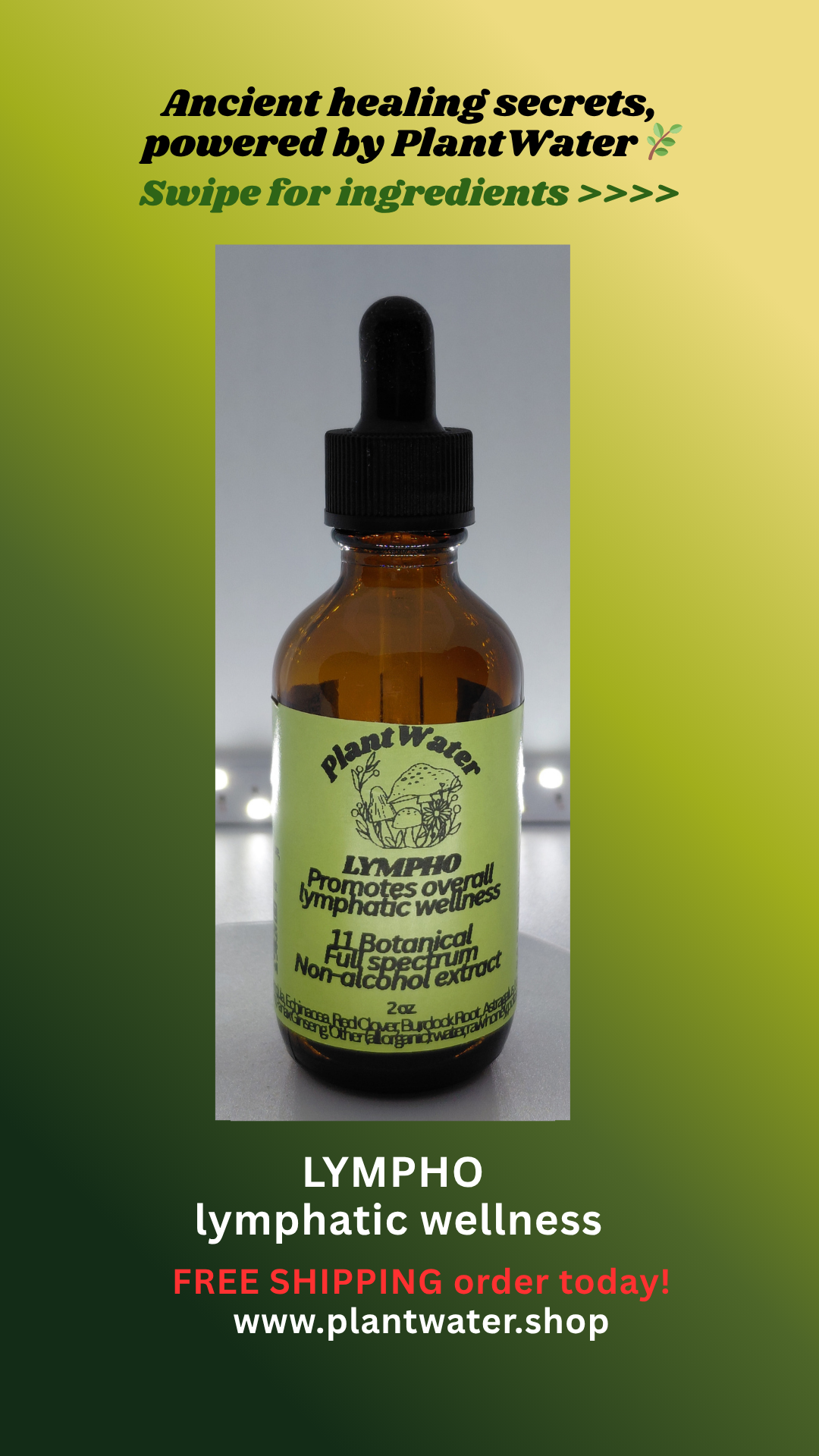 LYMPHO Promotes overall lymphatic wellness naturally.