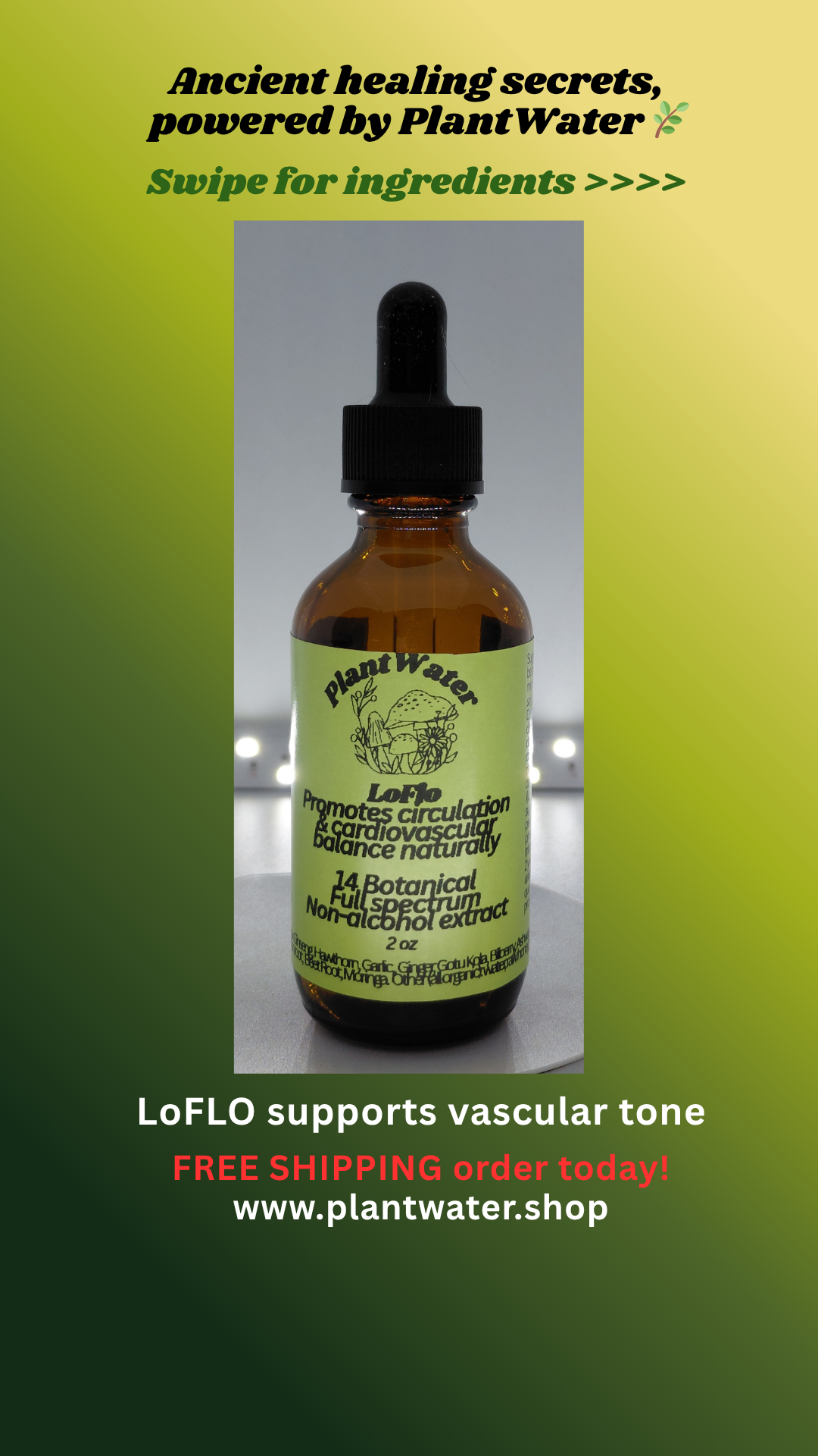 LoFLO Supports vascular tone and healthy microcirculation blood pressure naturally.