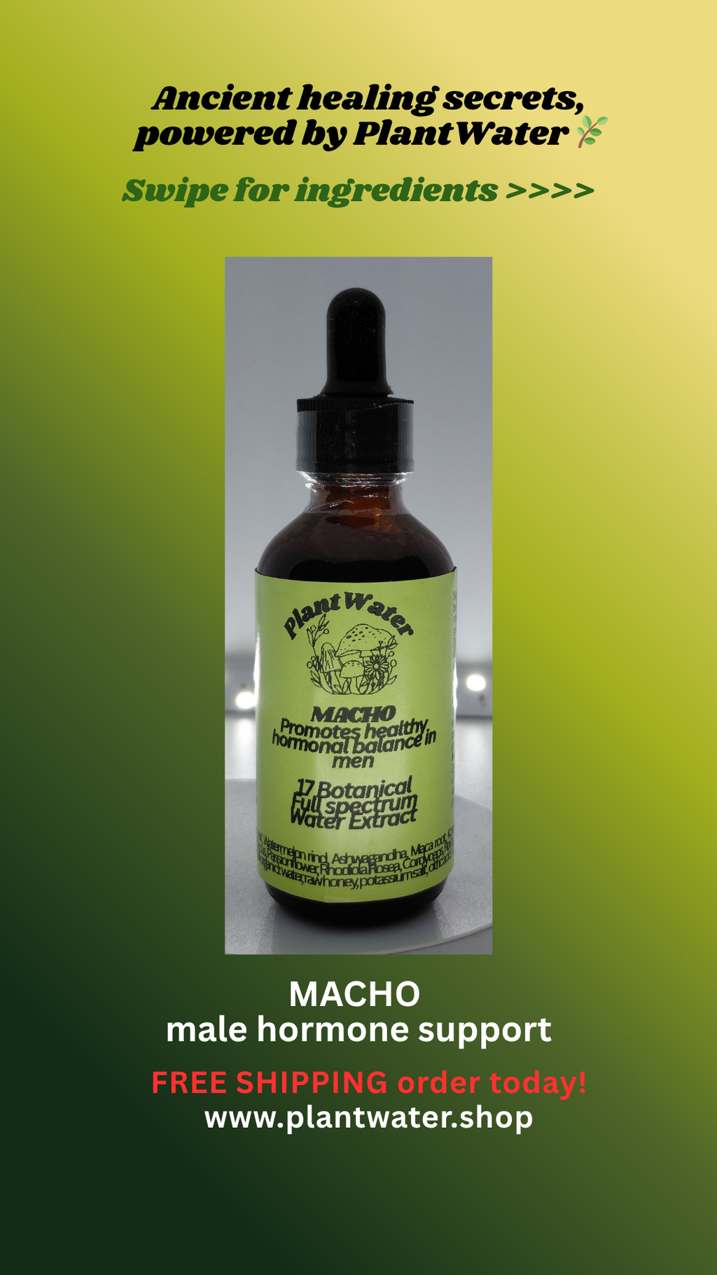 MACHO Supports healthy hormone balance for MEN naturally.