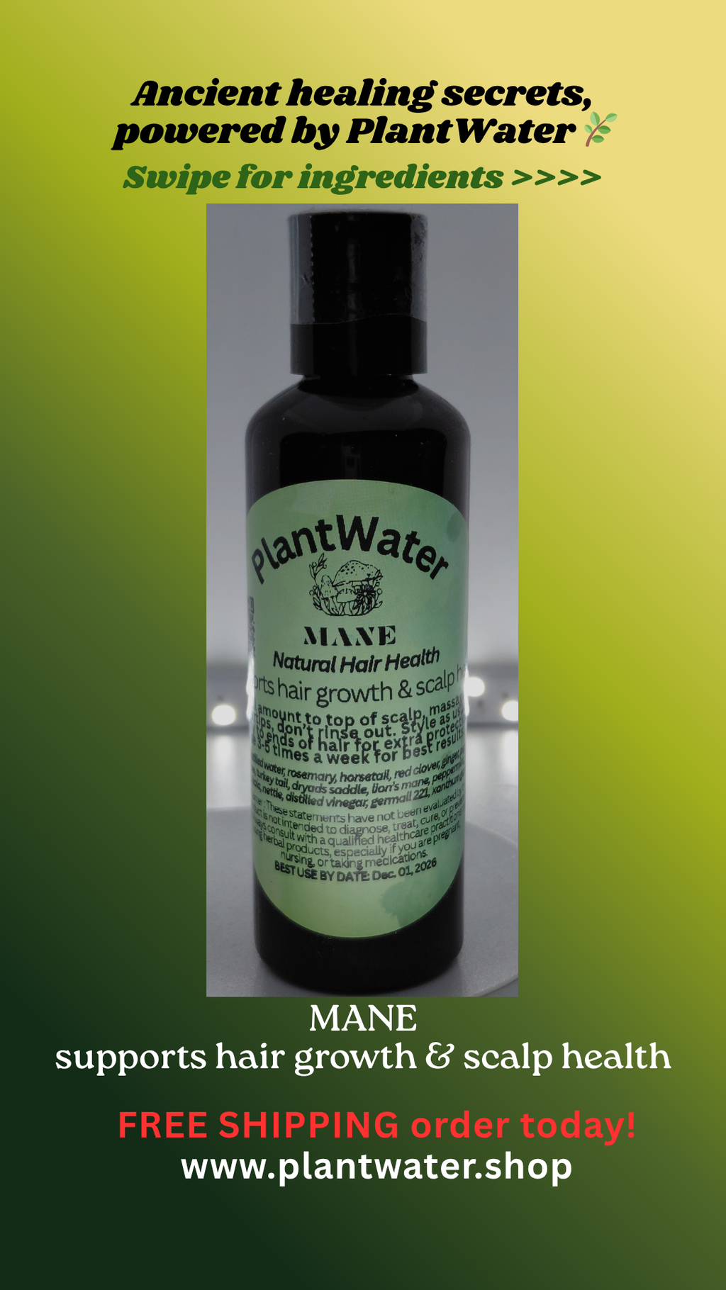 MANE To support healthy hair growth and maintain scalp wellness naturally.