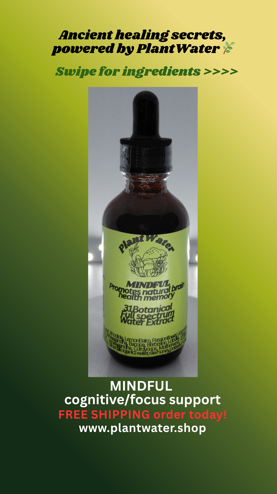 MINDFUL Helps maintain cognitive wellness and supports brain mental clarity naturally.