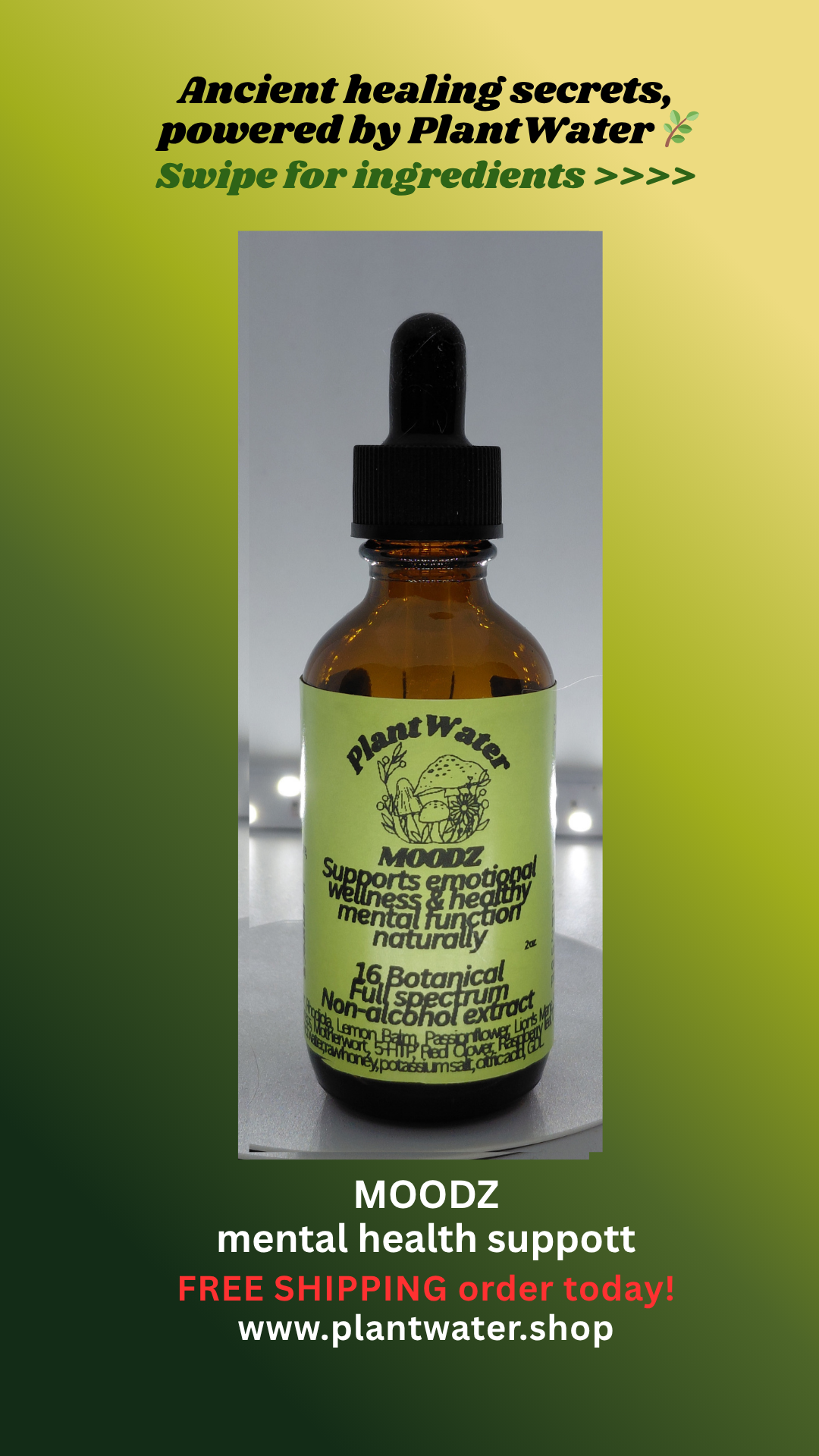 MOODZ Supports everyday emotional and mental wellness naturally.
