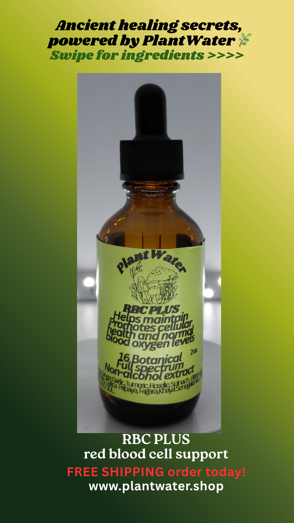 RBC PLUS support for sickle cell and crises erythrocytes and overall cellular wellness naturally.