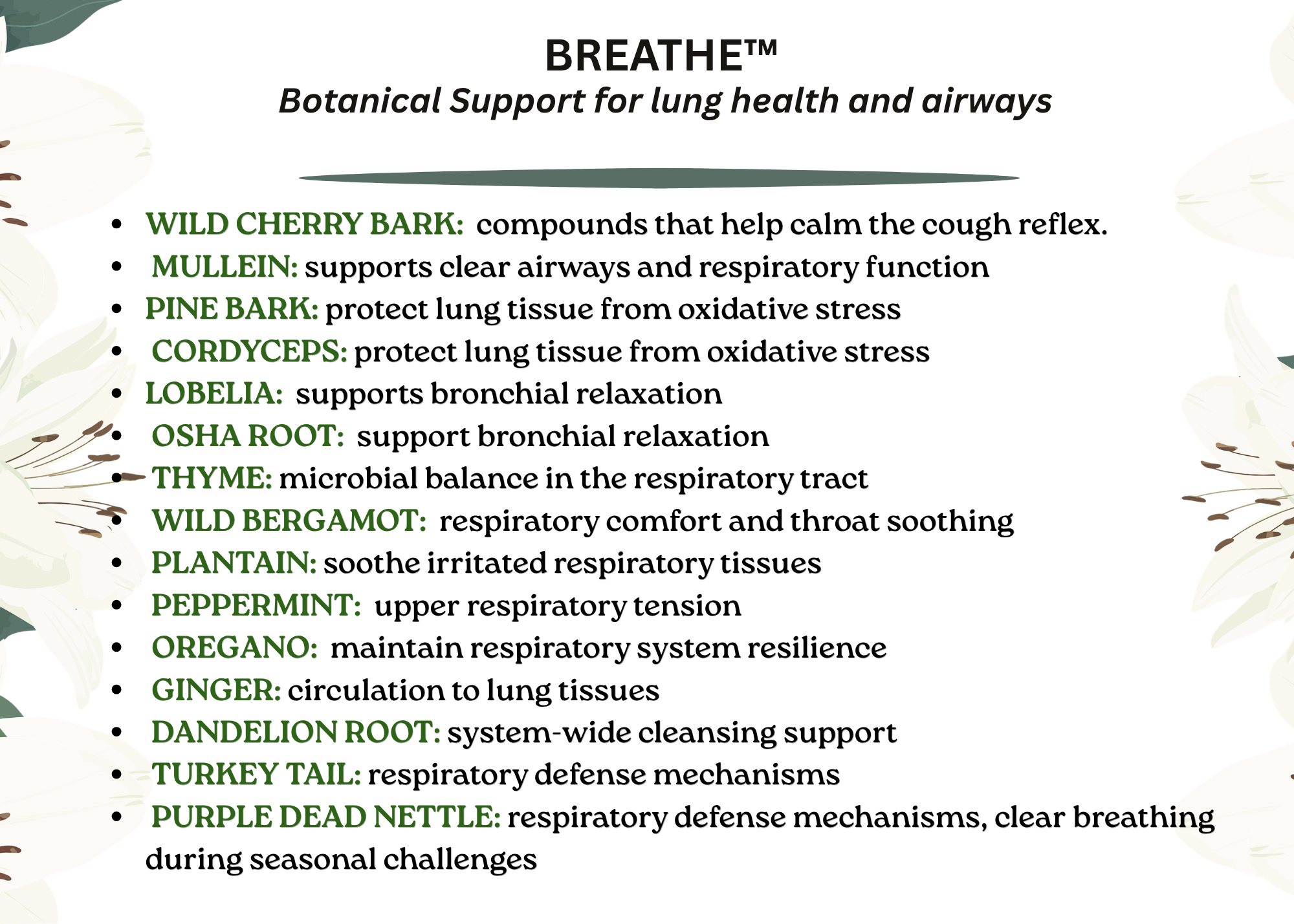 Breathe Better: Natural Support for Lung Health & Vitality