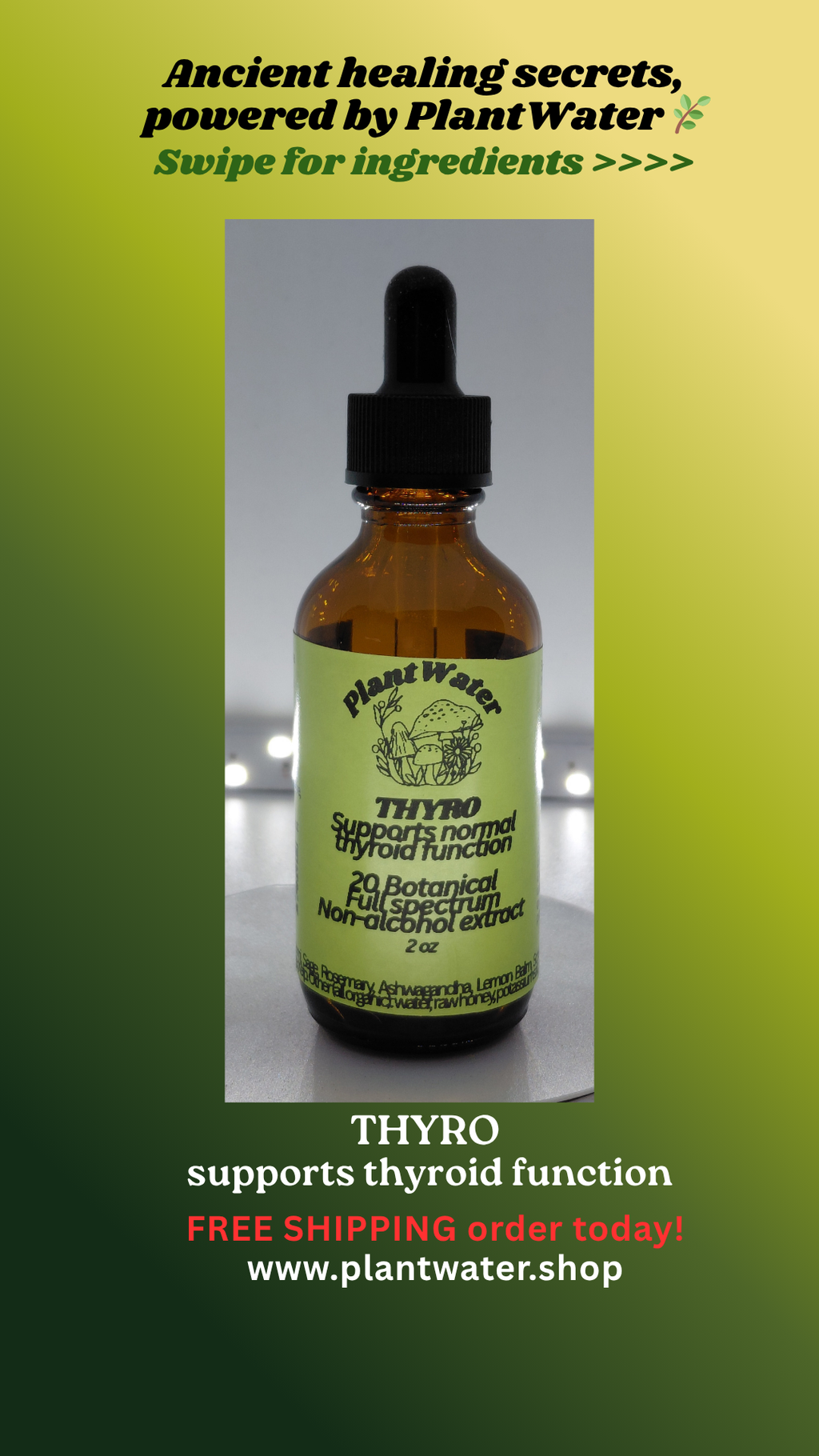 THYRO supports normal thyroid function, overall endocrine wellness with natural botanicals.