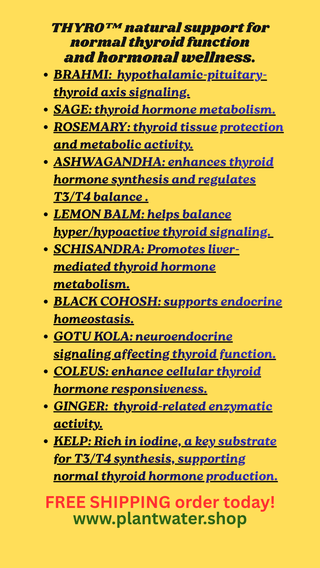 THYRO supports normal thyroid function, overall endocrine wellness with natural botanicals.