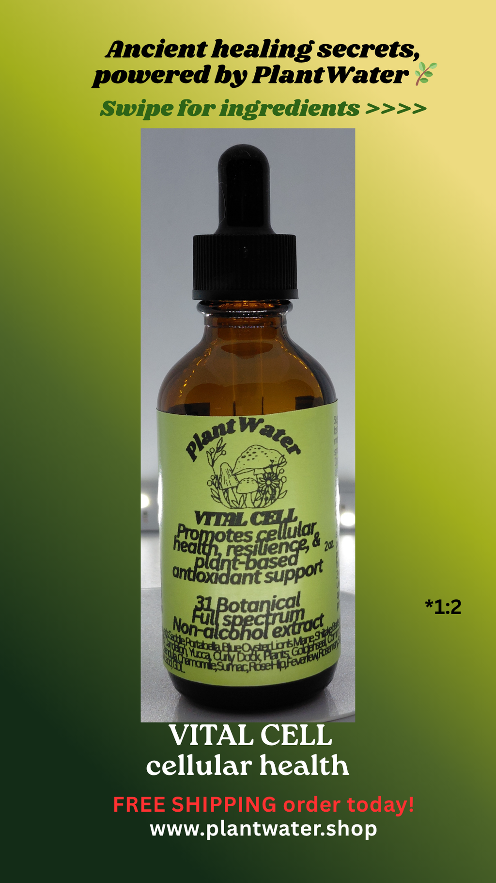 VITAL CELL Helps maintain cellular health against oxidative damage and aging naturally.