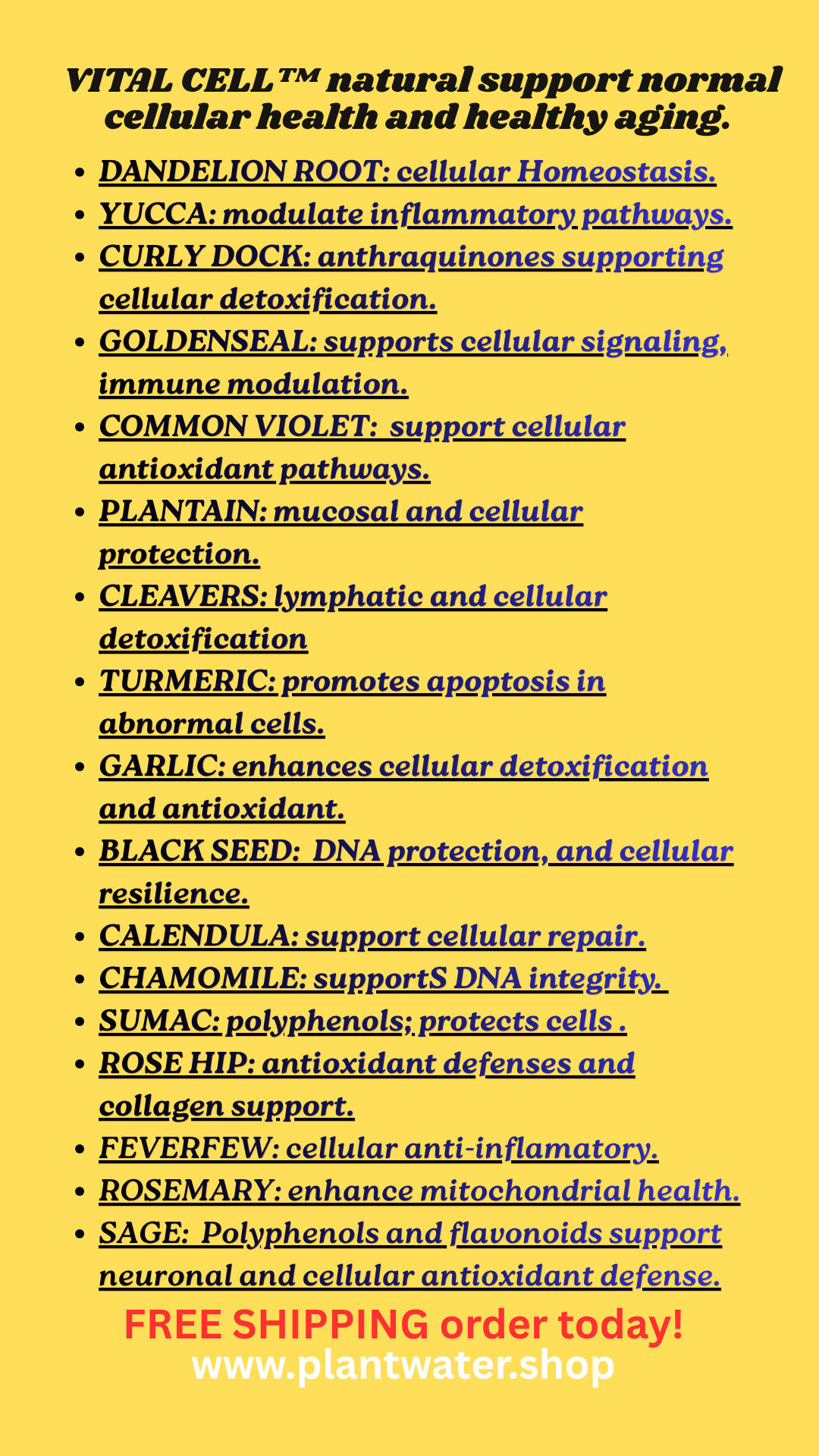 VITAL CELL Helps maintain cellular health against oxidative damage and aging naturally.