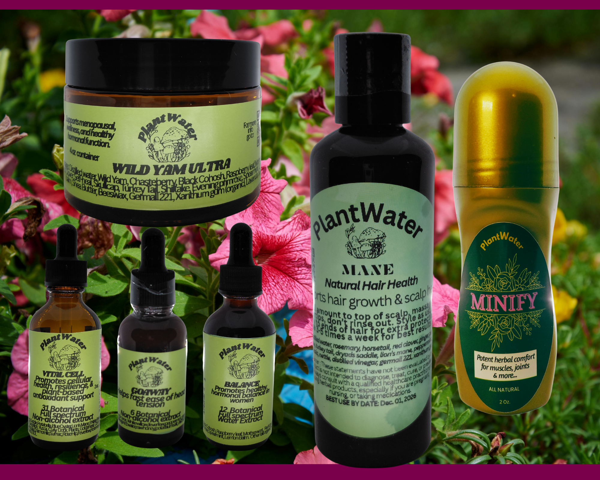 Women’s Herbal Collection | Natural Hormone Support and Wellness