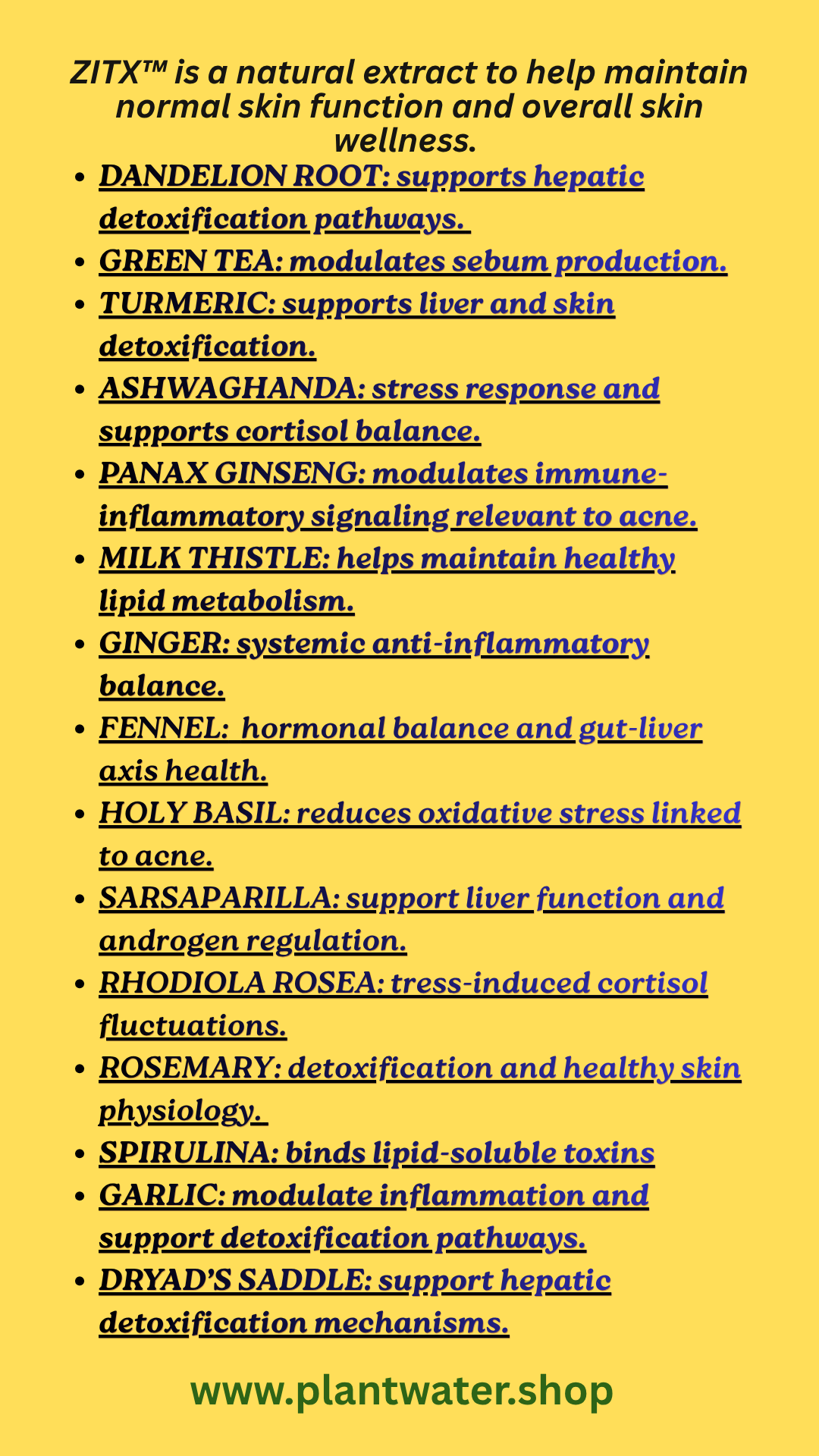 ZITX Helps maintain balanced skin health and supports skin function naturally.