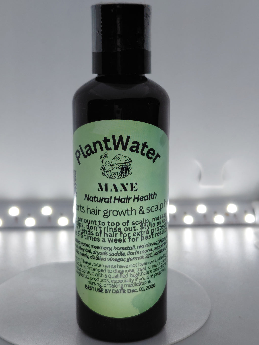 Thrive from the Root: Natural Hair & Scalp Health for Stronger, Healthier Growth