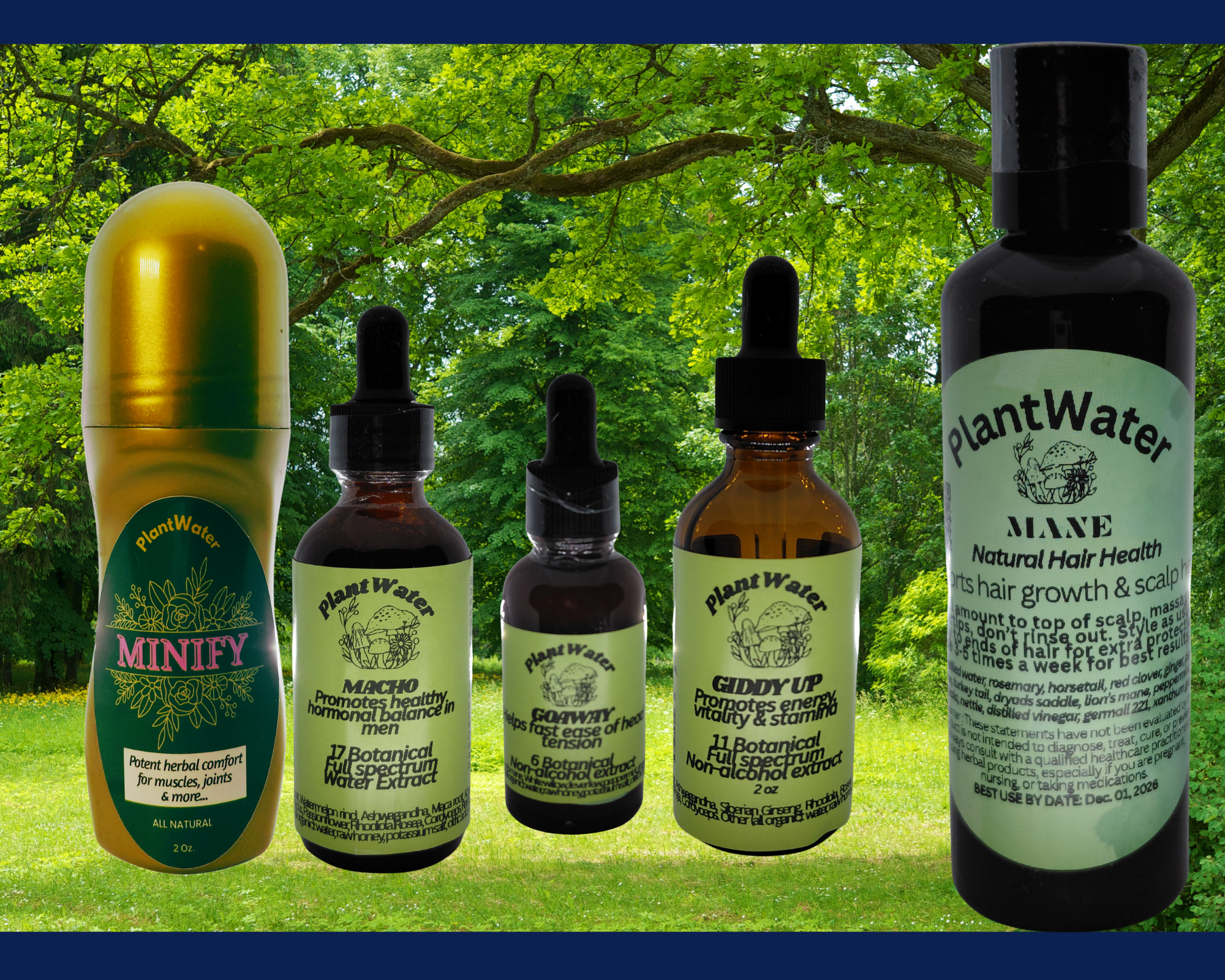 Herbal Support for Men | Vitality, Stamina & Hormone Balance