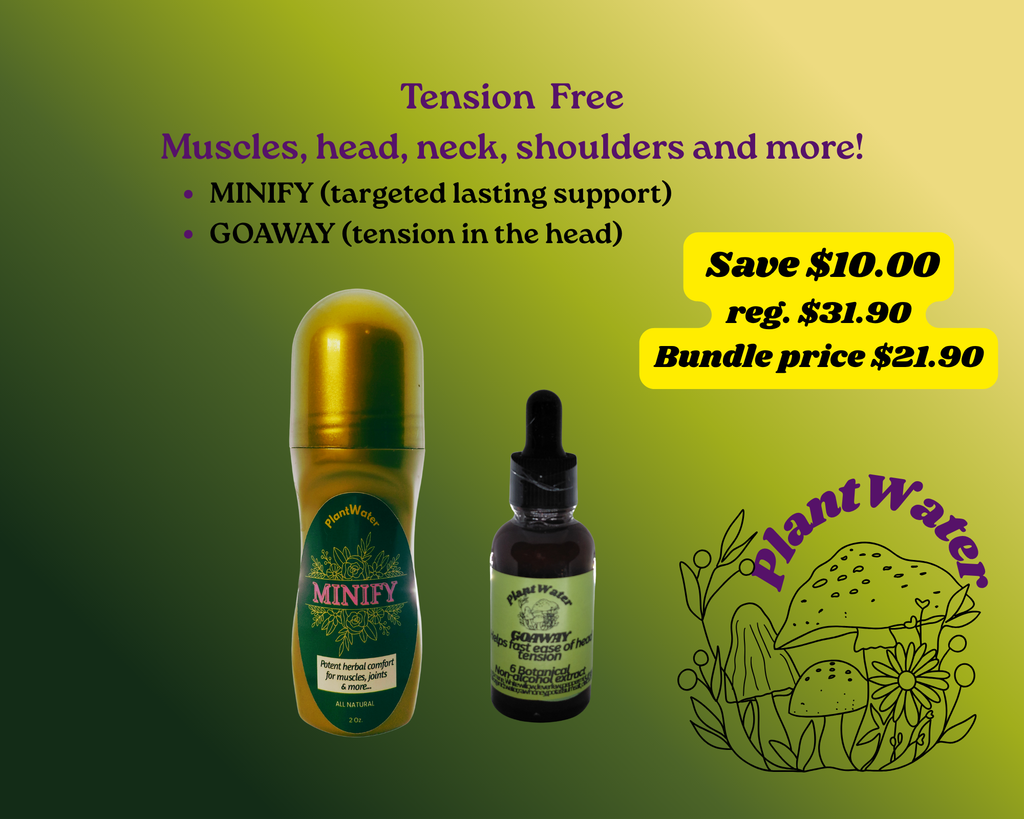 Clear Head, Better Days: Natural Relief for Headaches & Migraines
